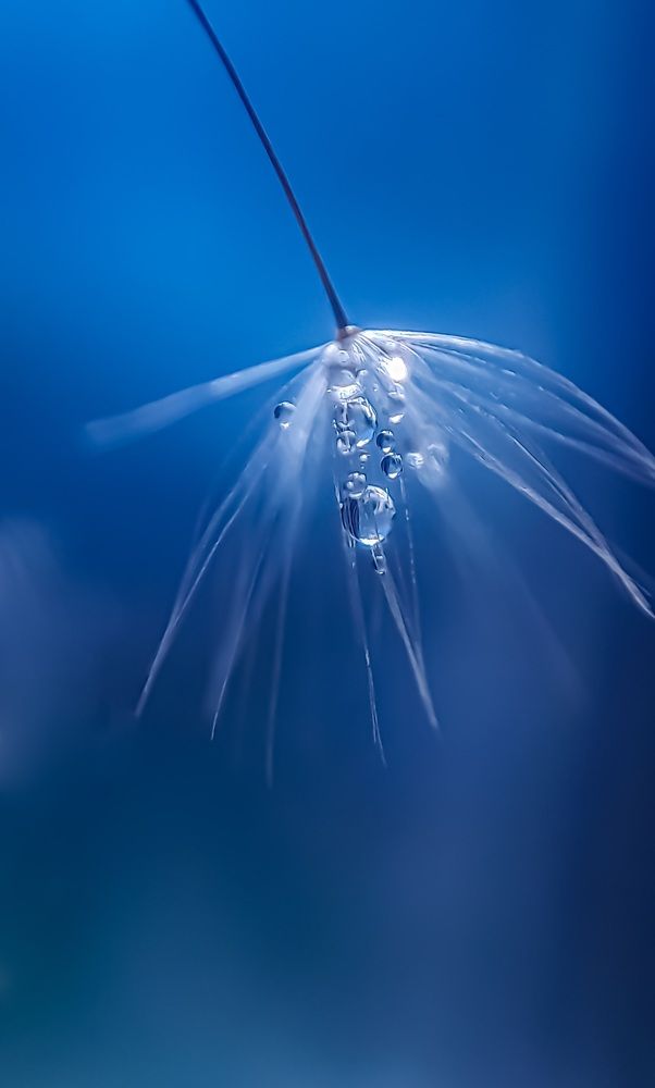 Photograph by Наталья Лищинская