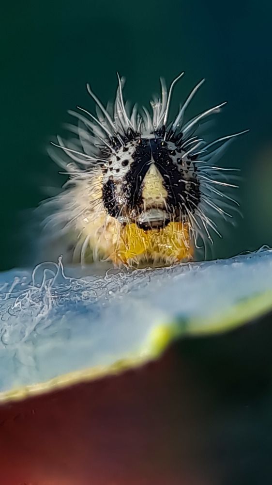 Photograph by Наталья Лищинская