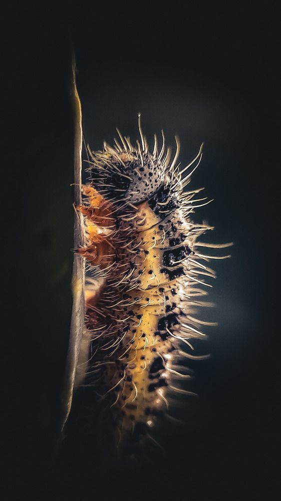 Photograph by Наталья Лищинская