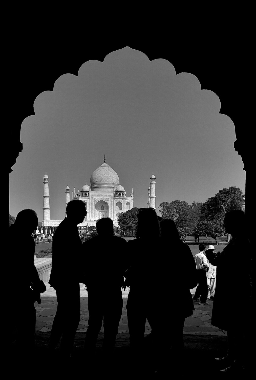 ICONIC TAJ
