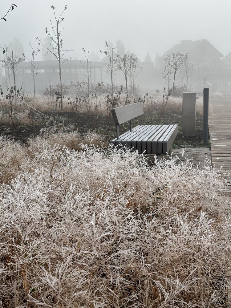 Photograph by Ольга Бастракова