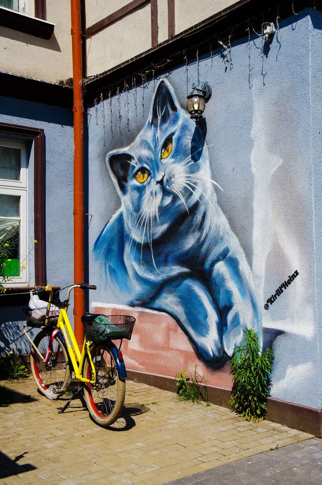 Фотография автора Ксения