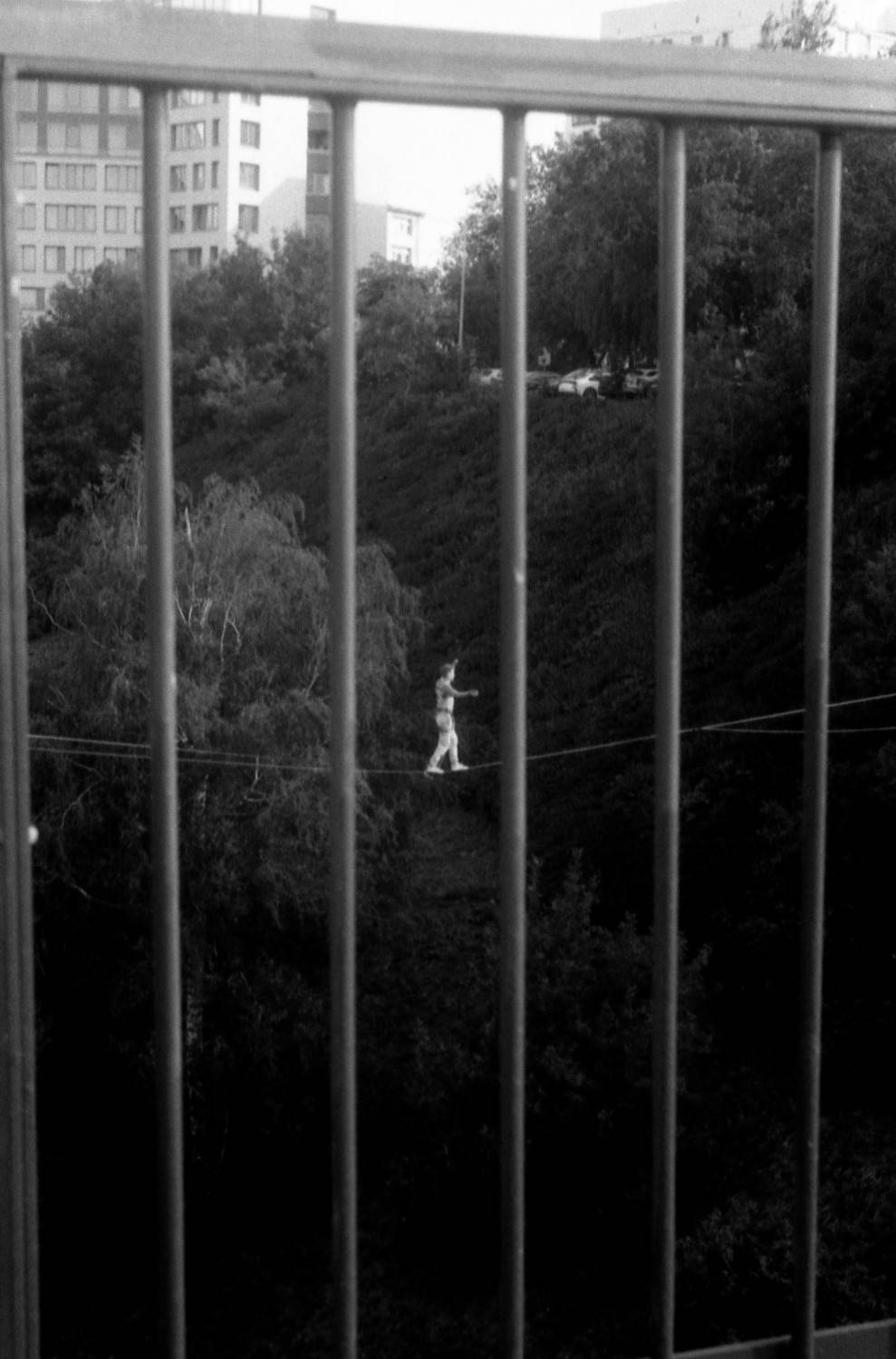 Photo #11327862