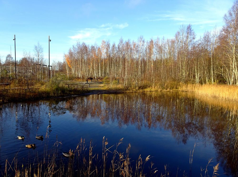 Photograph by Елизавета Маринен