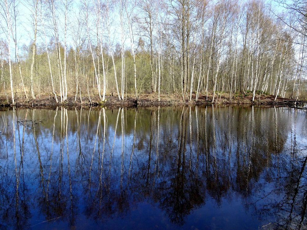 Photograph by Елизавета Маринен