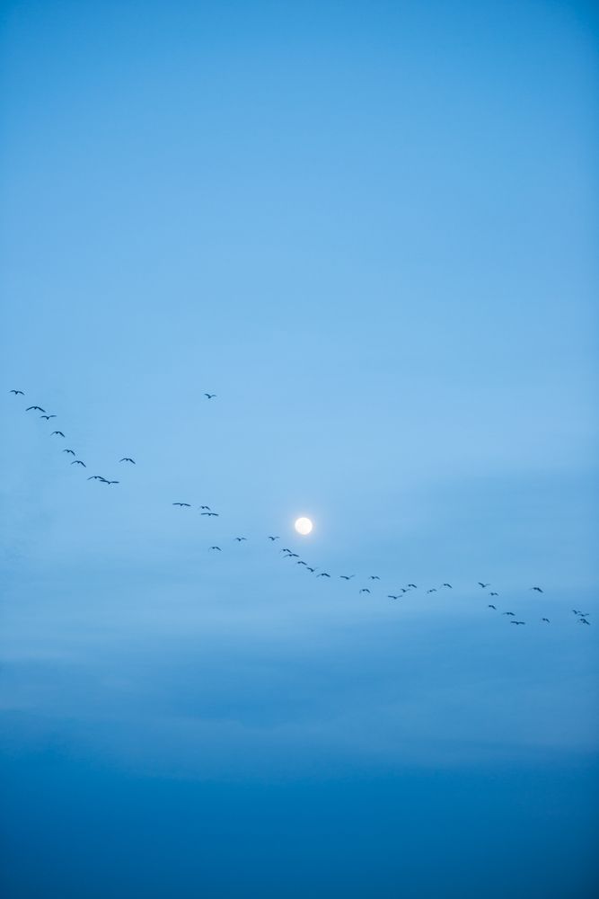 Photograph by RAFAEL SERRANO