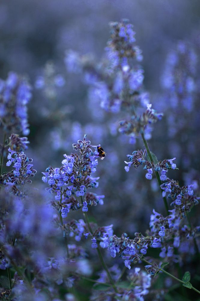 Photograph by Серова Мария