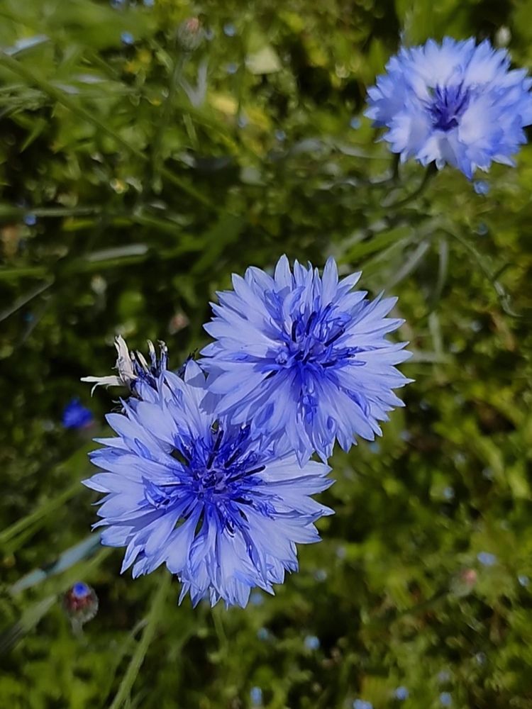 Photograph by Ия Дирко