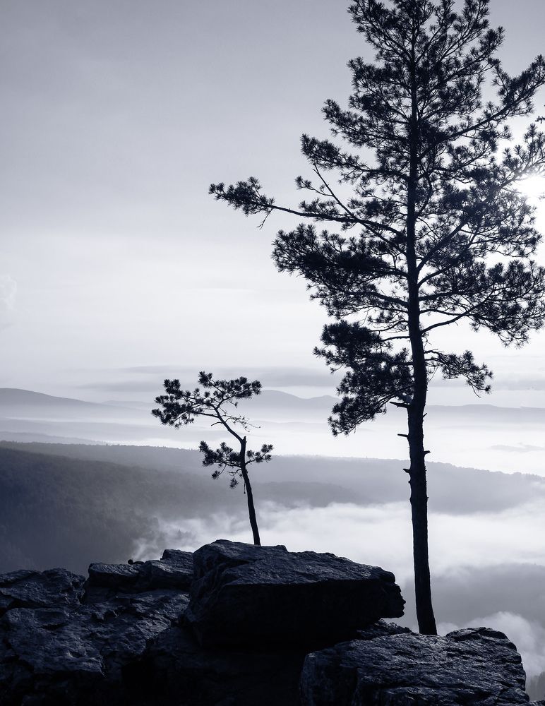 Photograph by Олеся Постнова