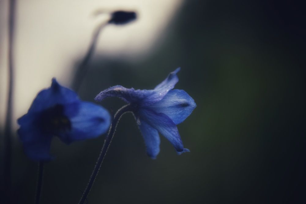 Photograph by Митюшкова Алёна