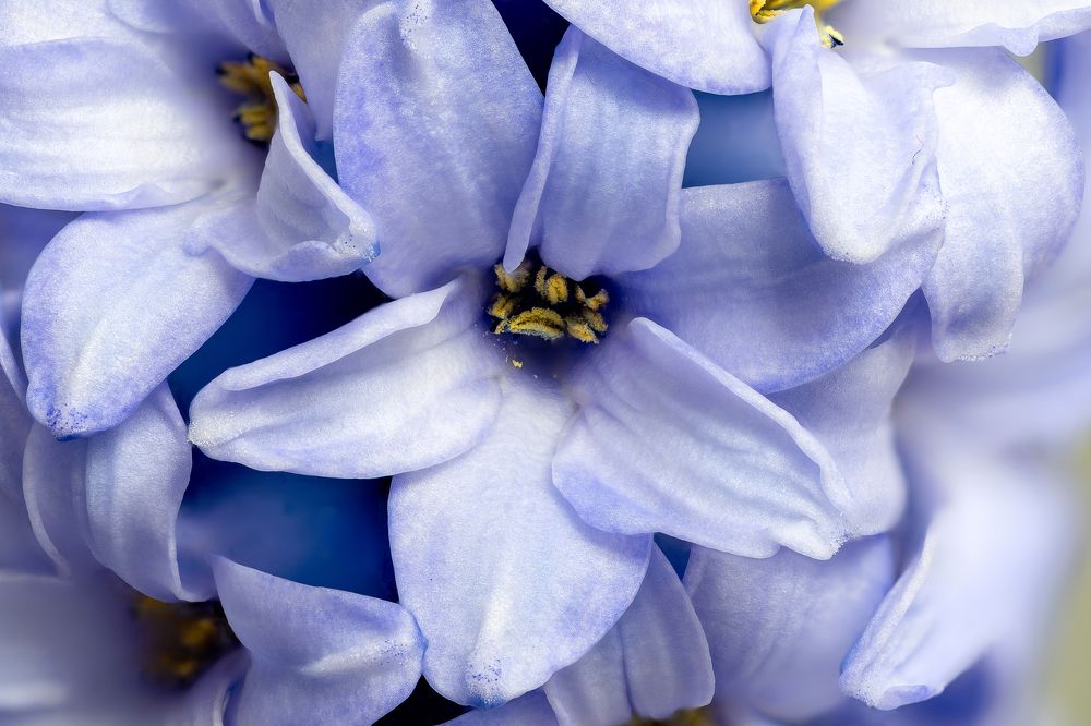 Photograph by Дмитрий Поварков