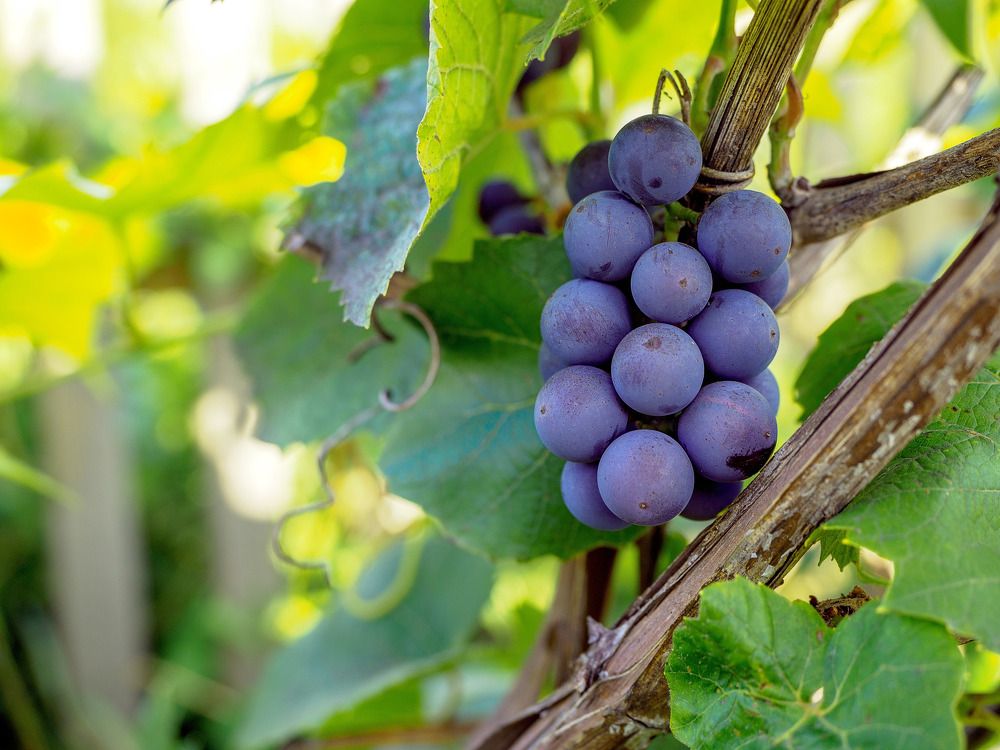 Photograph by Дмитрий Поварков