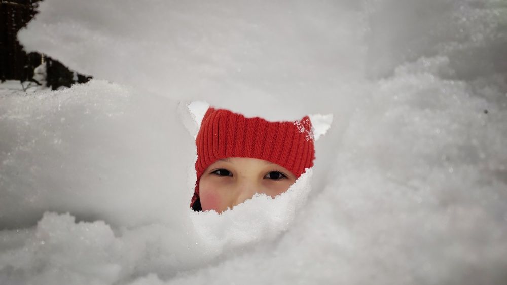 Photograph by Калюнова Наталья