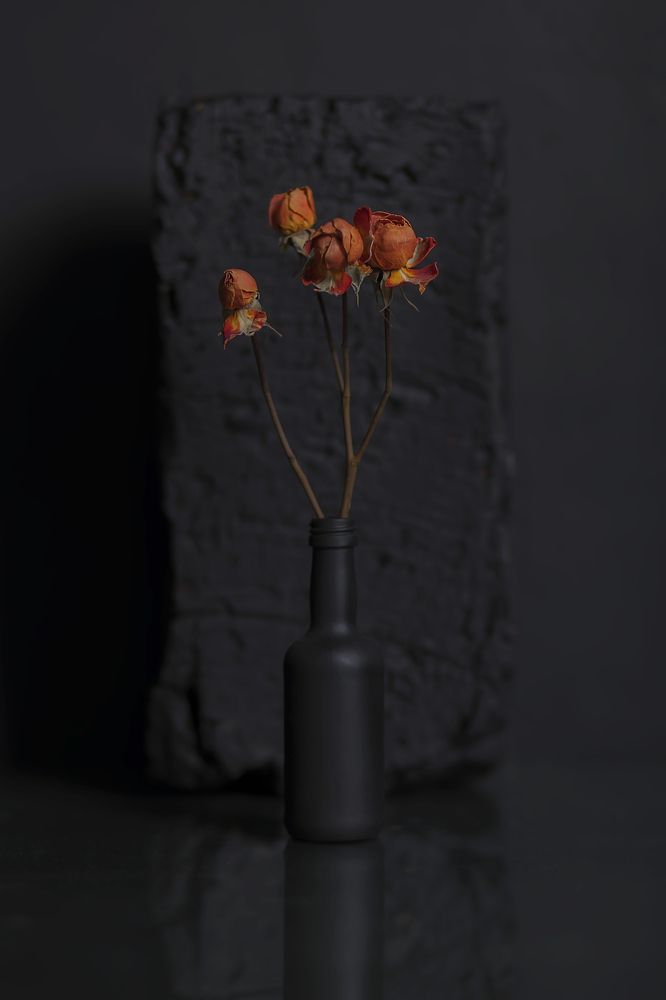 Photograph by Дмитрий Сундеев