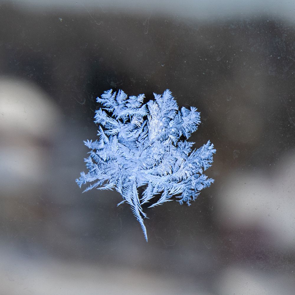 Photograph by Vitaly Lapin