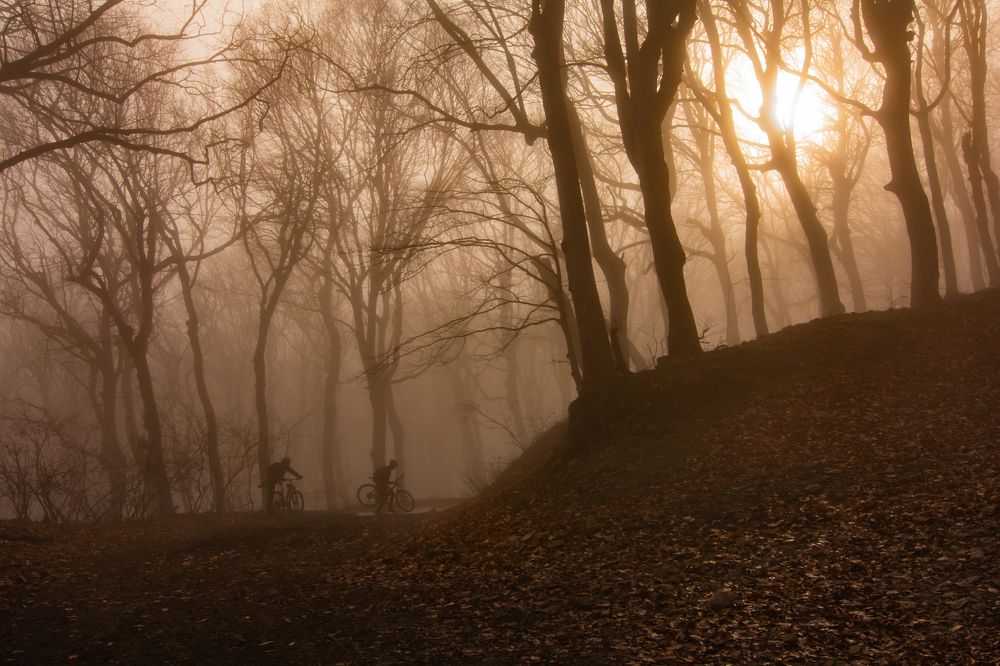 Photograph by Саша Козырев