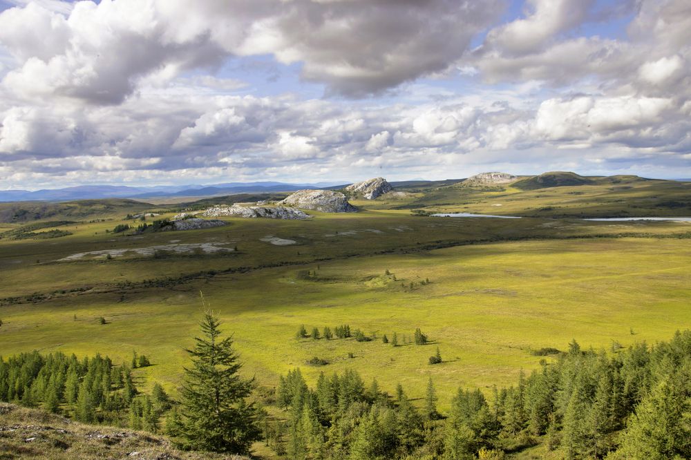 Восточные предгорья Полярного Урала