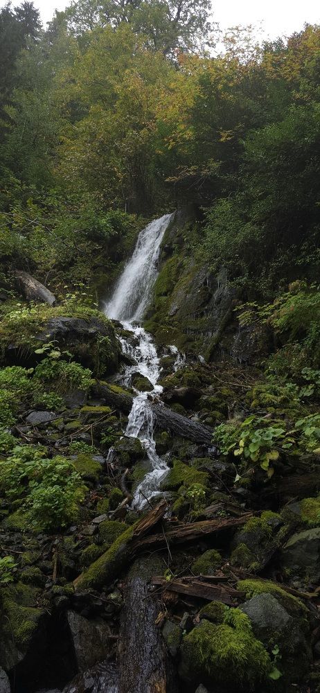 Фотография автора Наталья Владимировна