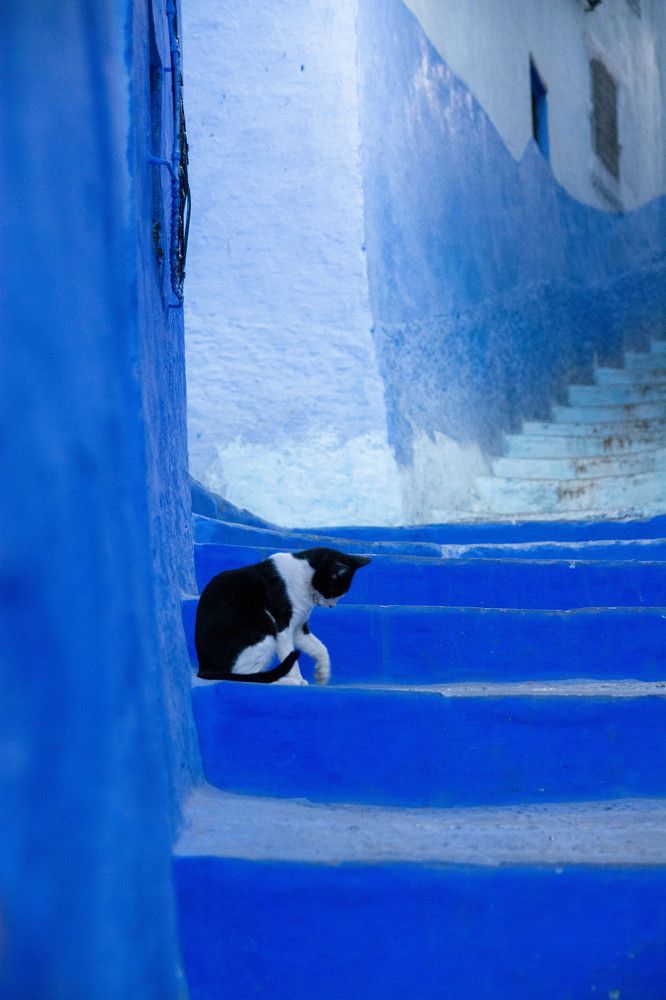 Photograph by esti lahat