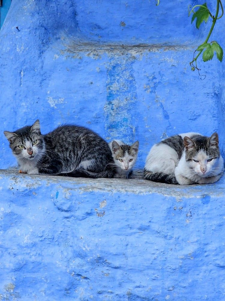 Photograph by esti lahat