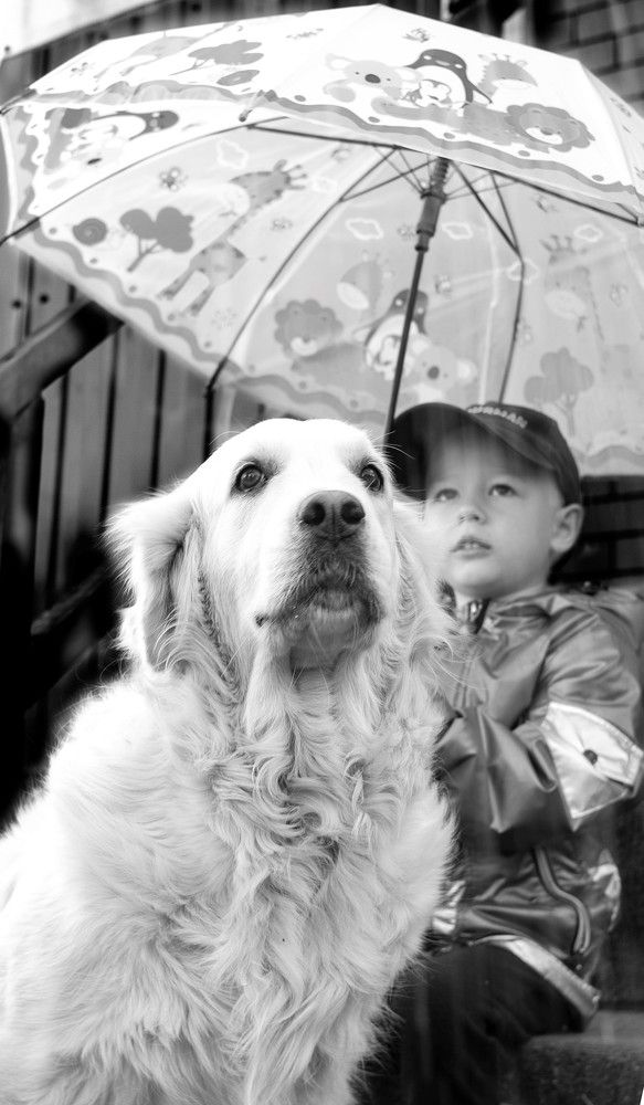 Photograph by Татьяна Шахматова