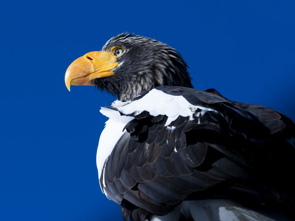 Photograph by Utsunomiya Ryo