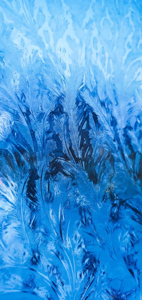 Photograph by ЕЛЕНА Рохо-Фернандес