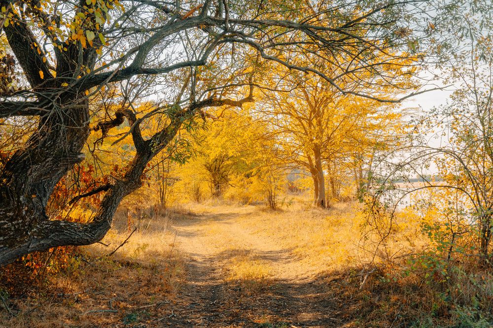 Фотография автора Вадим Коваленко