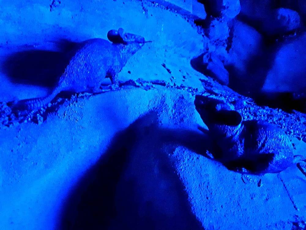 Photograph by Виктория Образцова