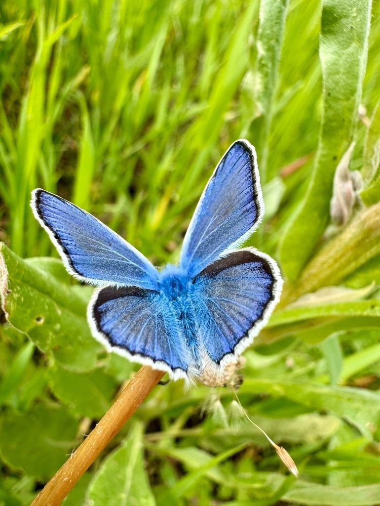 Фотография автора Виктория Зеленкова