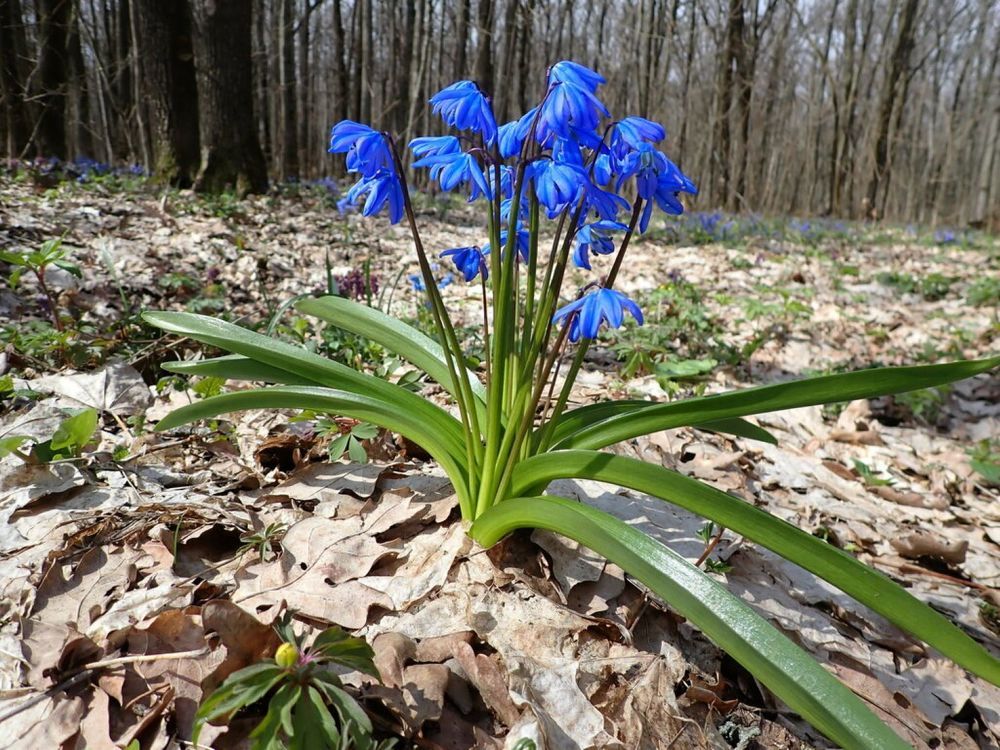 Фотография автора Виктория Зеленкова