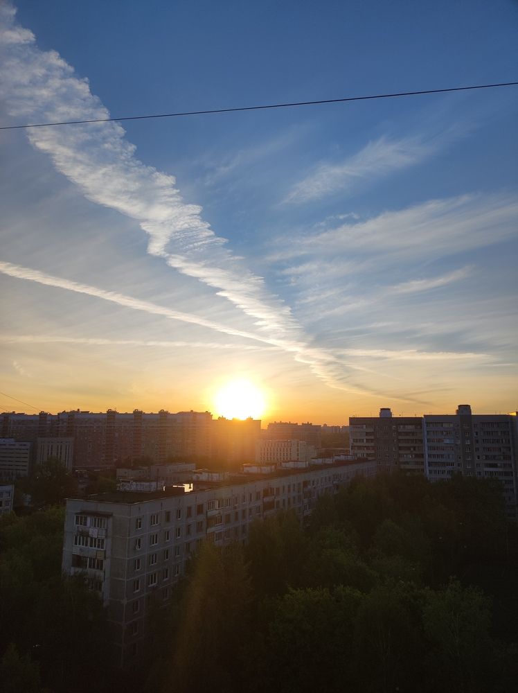Photo #11328451