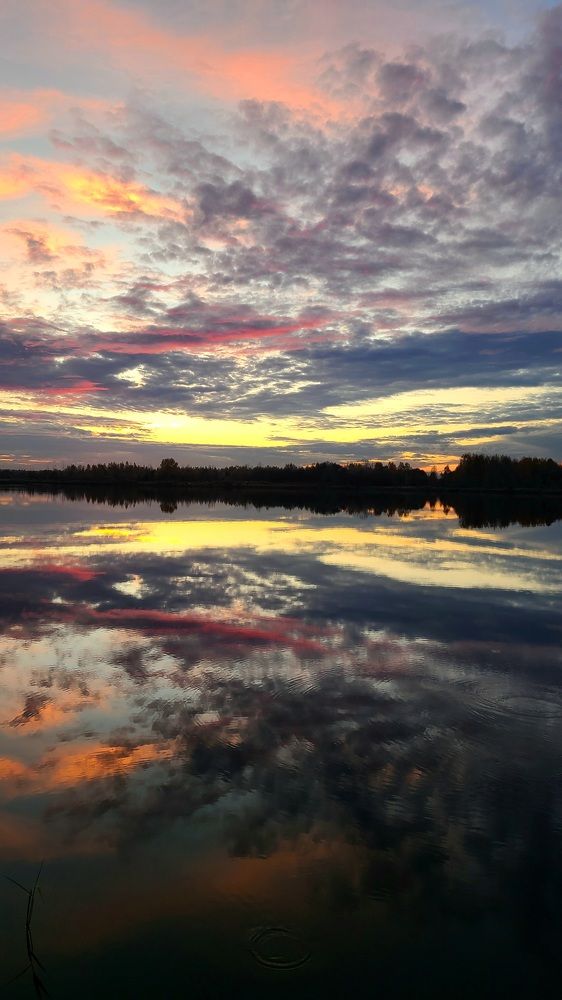 Photograph by Егор Жук