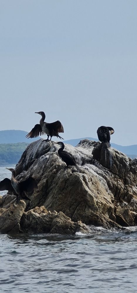 Фотография автора Наталья Владимировна