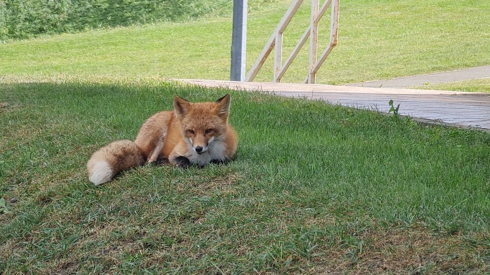 Фотография автора Наталья Владимировна
