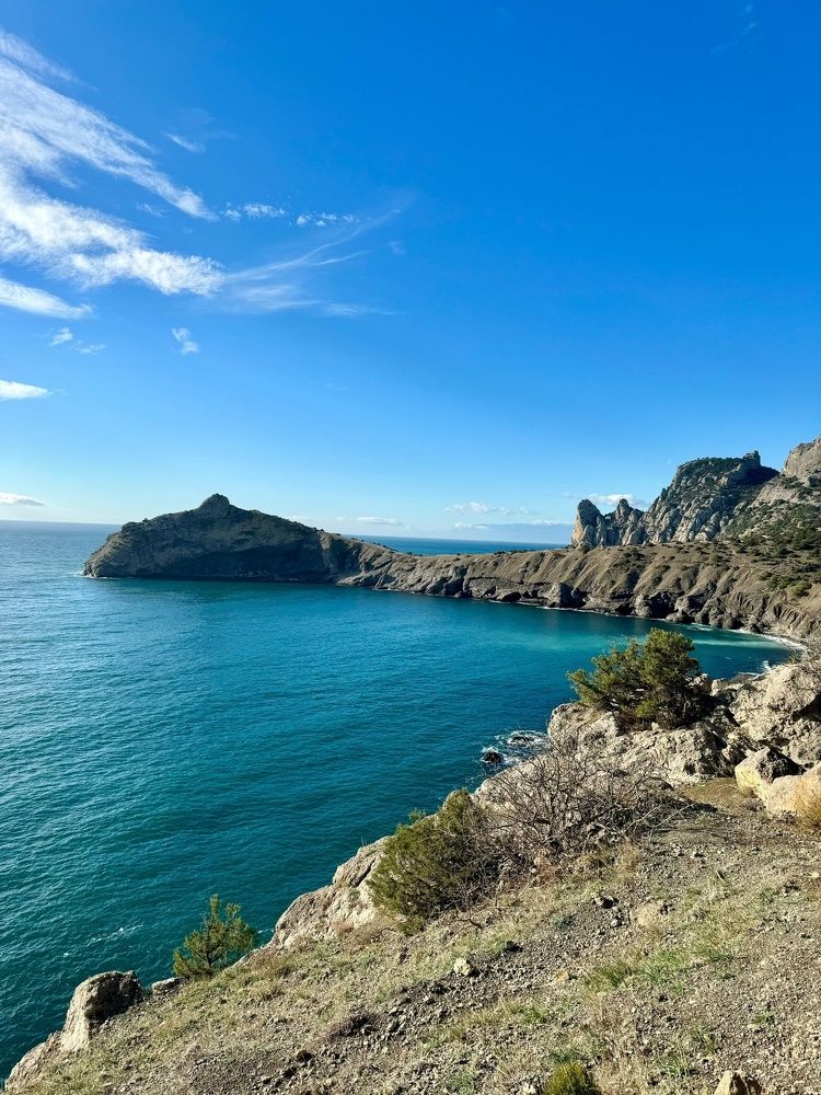 Фотография автора Виктория Зеленкова