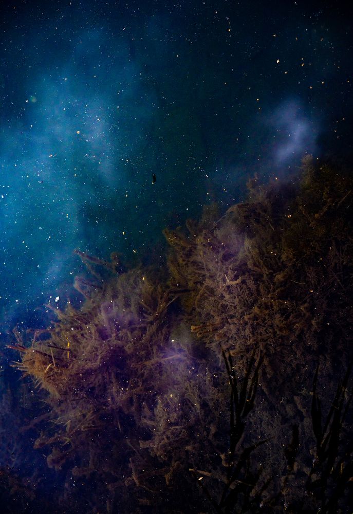 Космос начинается с тебя