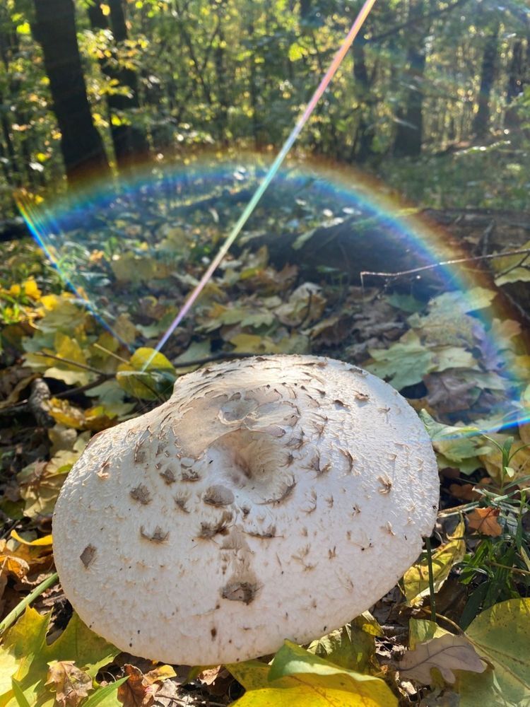 Фотография автора Виктория Зеленкова