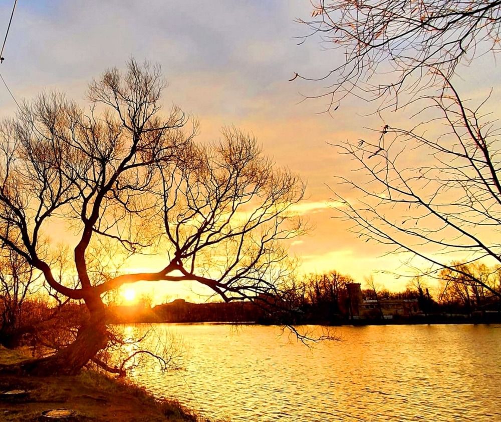 Photograph by Александра Борисовна