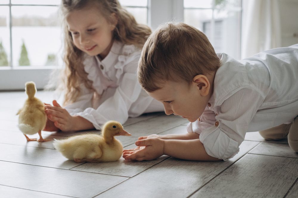 Photograph by Елена Копылова