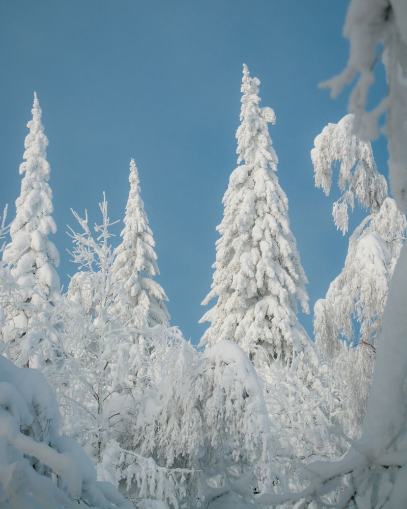 Photograph by Антон Глухов