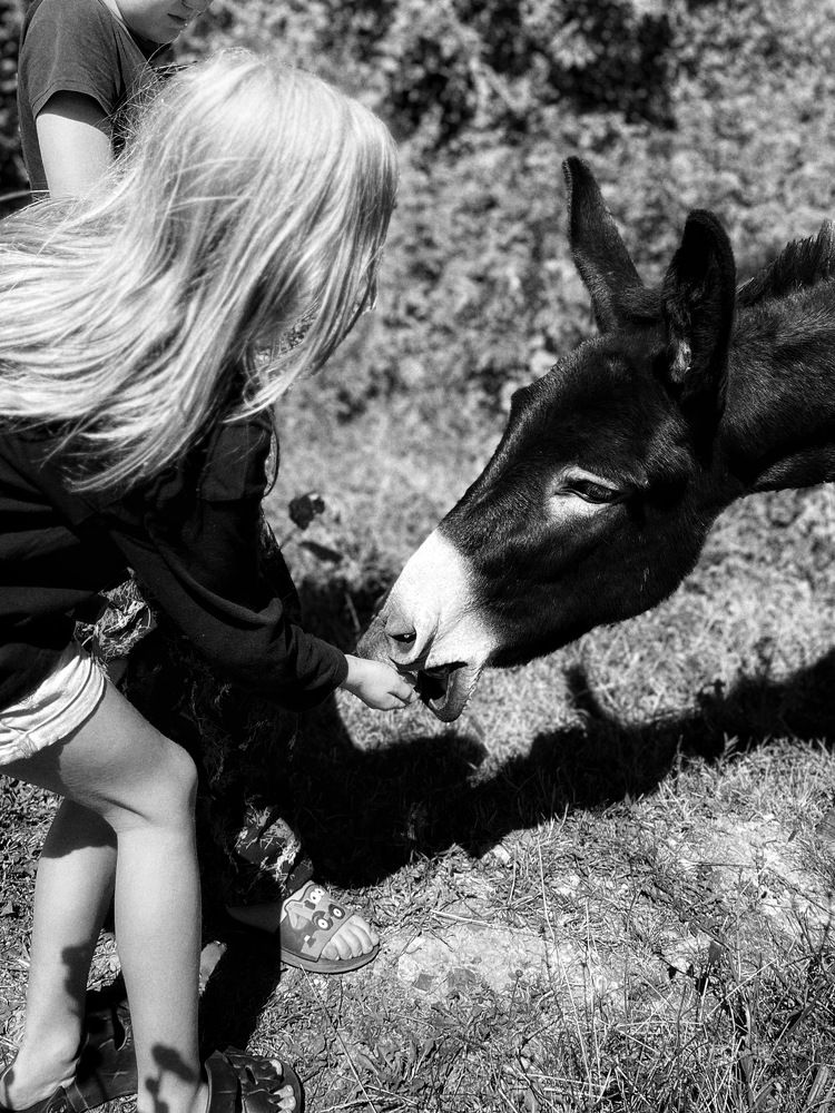 Photograph by Яна Сел