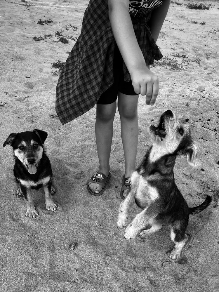 Photograph by Яна Сел