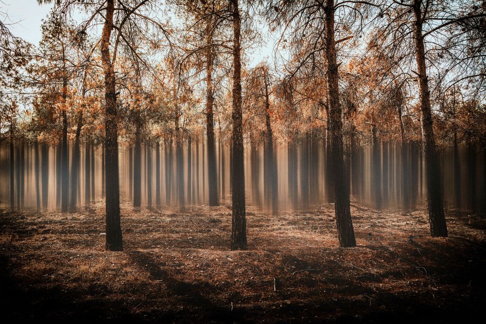 Photograph by Mohammad Mehdi Askari