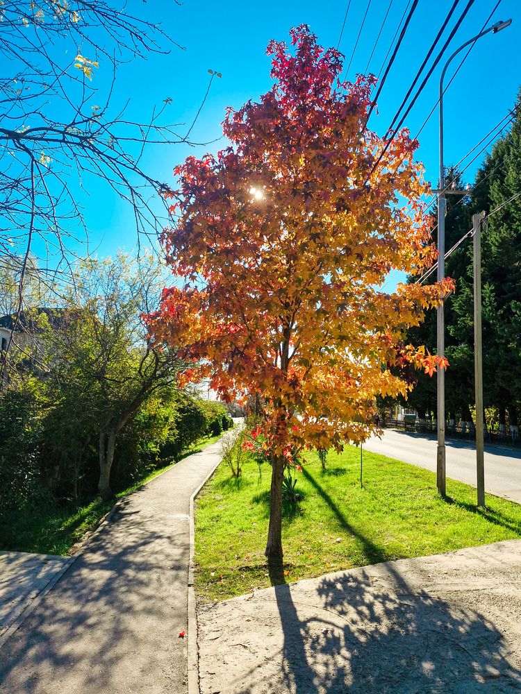 Photograph by Игорь Чечин