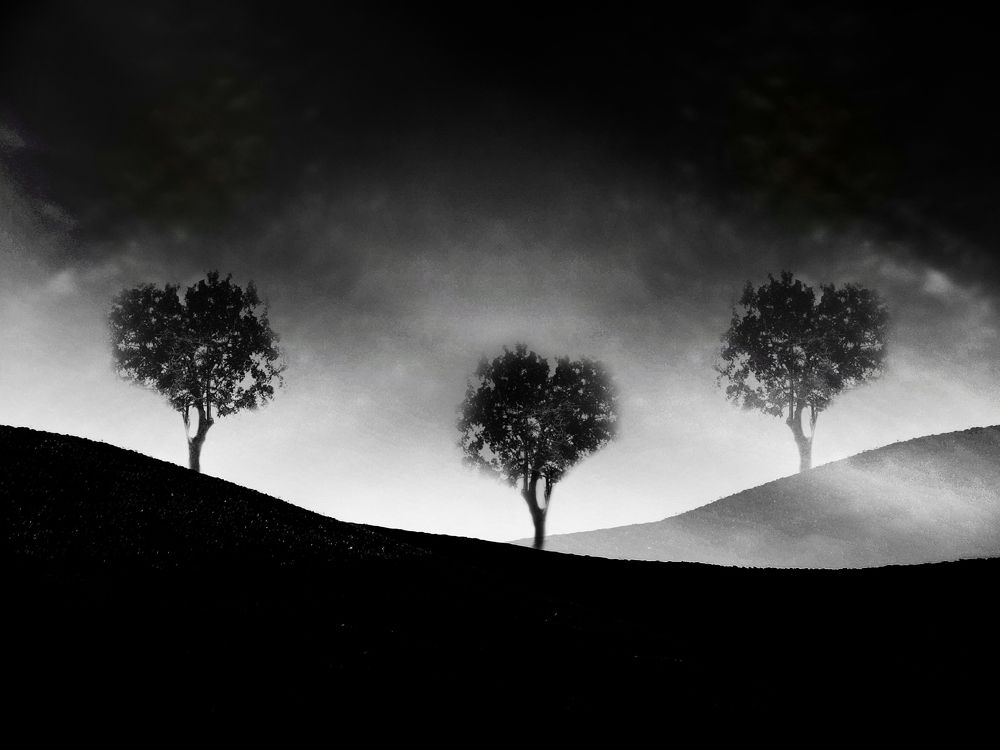 Photograph by Akhoondi Hannaneh