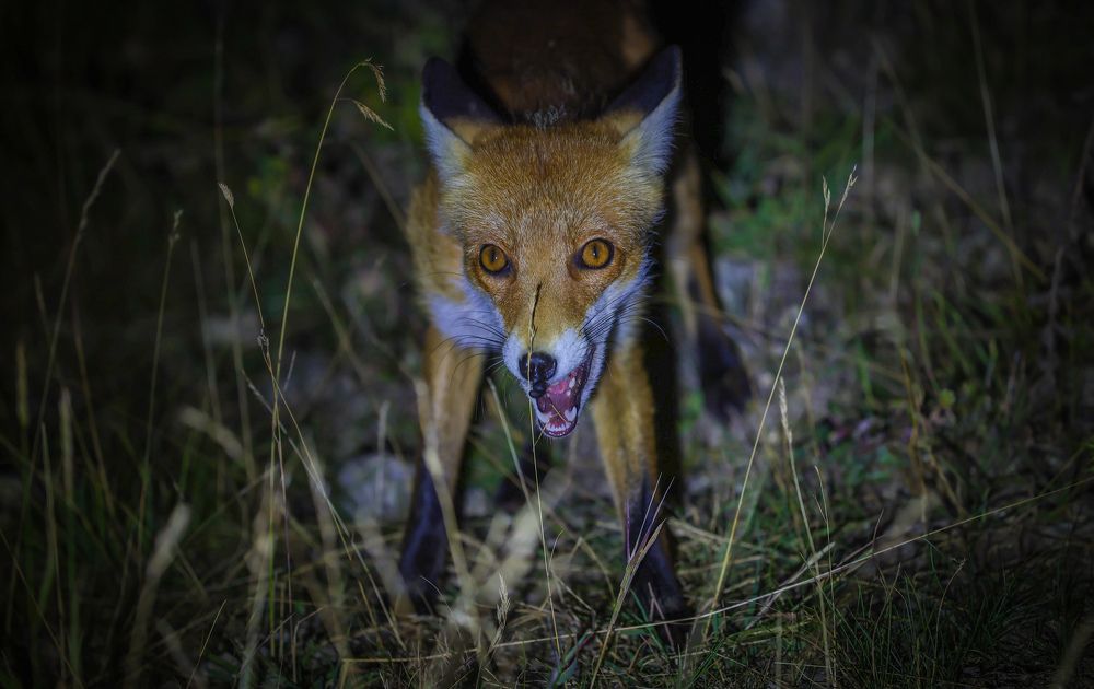 Photograph by Egor Ugrof