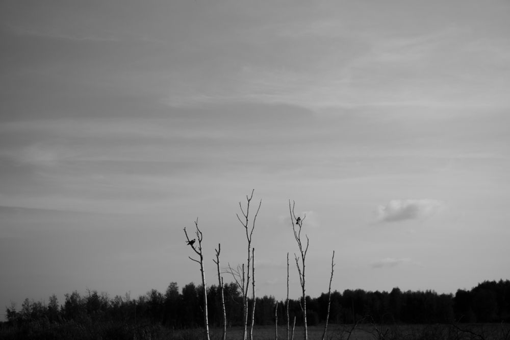 Photograph by Наталья Житинева