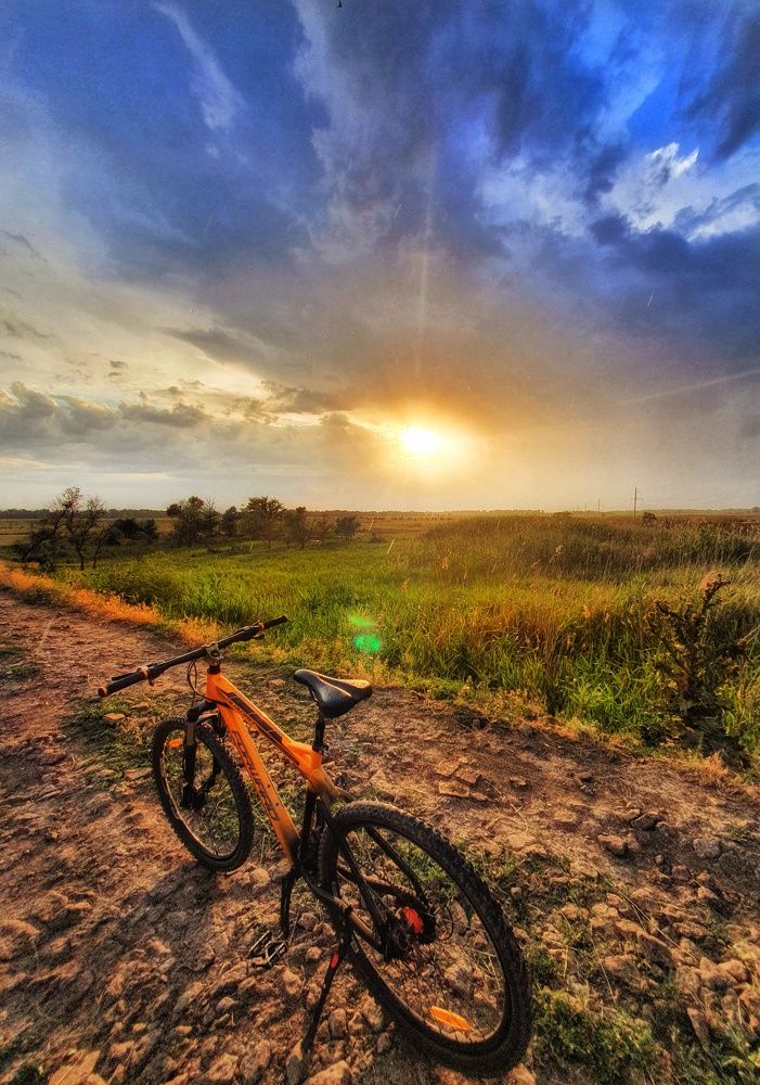 Лето. Закат. Дождь в саванне