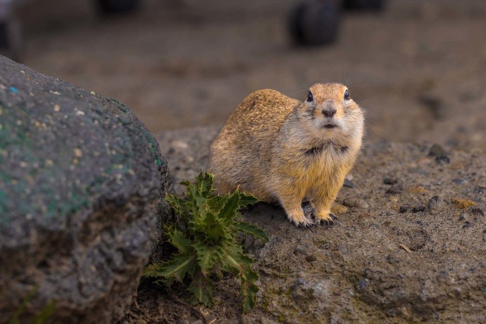 Photograph by Egor Ugrof